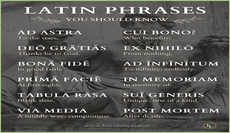 A Profile Of A Latin Beauty