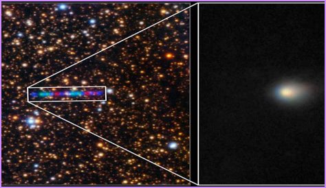 Ava Doyle: Unraveling The Mystery Behind Her Cause Of Death